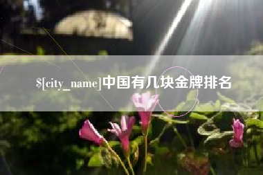 偃师中国有几块金牌排名