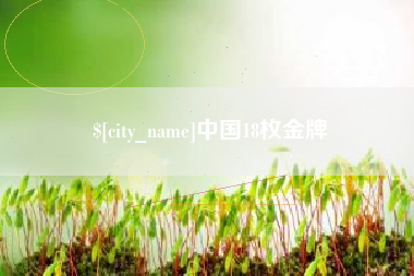 偃师中国18枚金牌