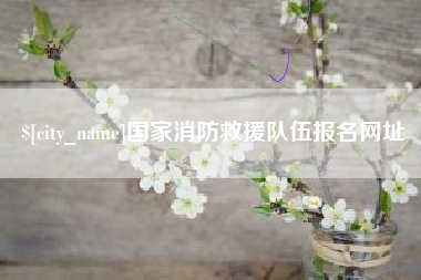 偃师国家消防救援队伍报名网址