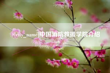 偃师中国消防救援学院介绍