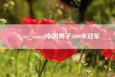 偃师中国男子5000米冠军