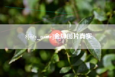 偃师金牌图片真实