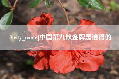 偃师中国第九枚金牌是谁得的