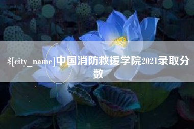 偃师中国消防救援学院2021录取分数