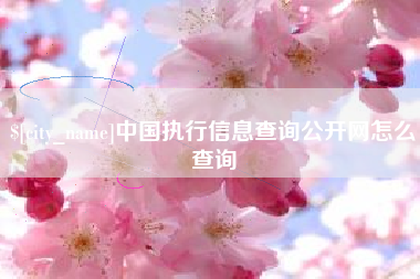 偃师中国执行信息查询公开网怎么查询