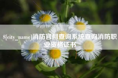 偃师消防官网查询系统查询消防职业资格证书