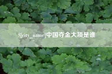 偃师中国夺金大项是谁