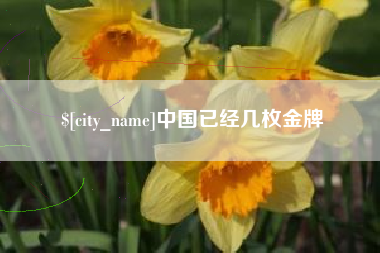 偃师中国已经几枚金牌