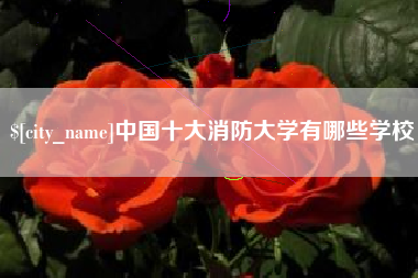 偃师中国十大消防大学有哪些学校
