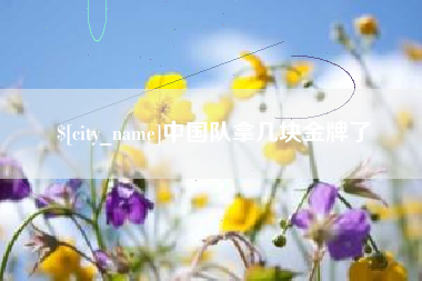 偃师中国队拿几块金牌了