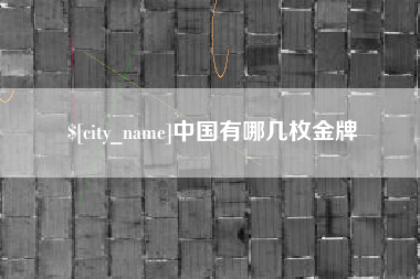 偃师中国有哪几枚金牌