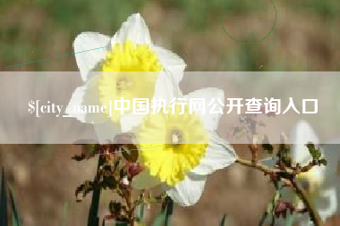 偃师中国执行网公开查询入口