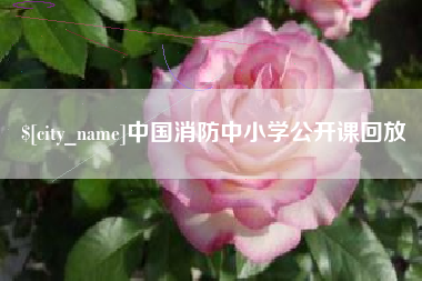 偃师中国消防中小学公开课回放