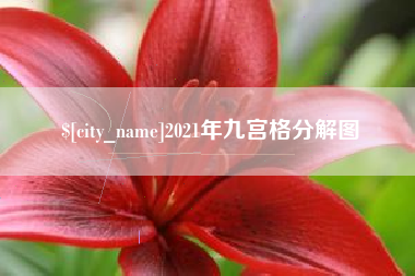偃师2021年九宫格分解图