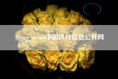 偃师中国执行信息公开网