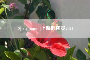 偃师上海消防员2021