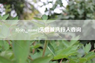 偃师失信被执行人杳询
