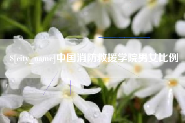 偃师中国消防救援学院男女比例