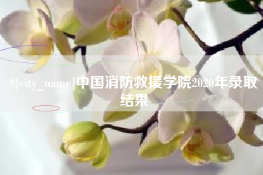 偃师中国消防救援学院2020年录取结果