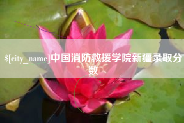 偃师中国消防救援学院新疆录取分数