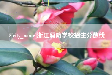 偃师浙江消防学校招生分数线