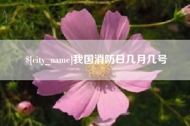偃师我国消防日几月几号