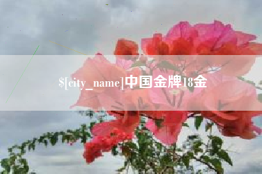 偃师中国金牌18金