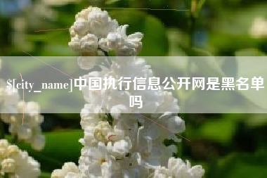 偃师中国执行信息公开网是黑名单吗
