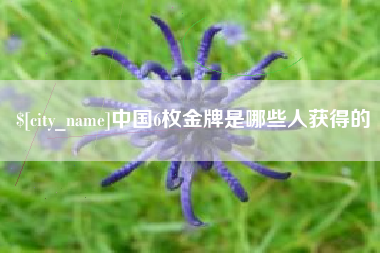 偃师中国6枚金牌是哪些人获得的