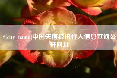偃师中国失信被执行人信息查询公开网址