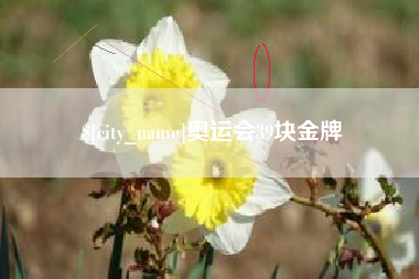 偃师奥运会39块金牌
