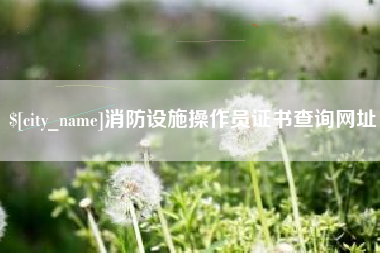 偃师消防设施操作员证书查询网址