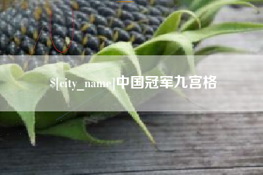 偃师中国冠军九宫格