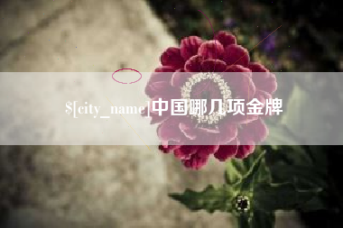 偃师中国哪几项金牌