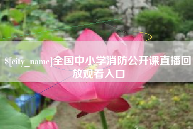 偃师全国中小学消防公开课直播回放观看入口