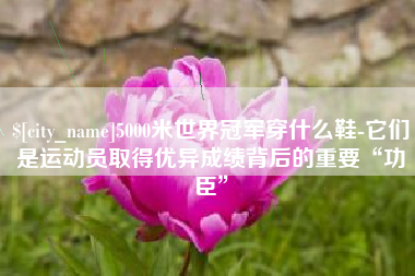 偃师5000米世界冠军穿什么鞋-它们是运动员取得优异成绩背后的重要“功臣”