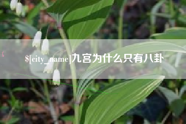 偃师九宫为什么只有八卦