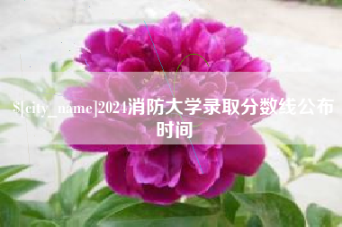 偃师2024消防大学录取分数线公布时间