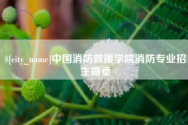 偃师中国消防救援学院消防专业招生简章