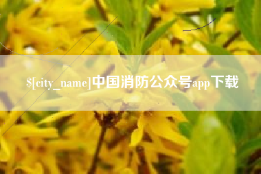 偃师中国消防公众号app下载