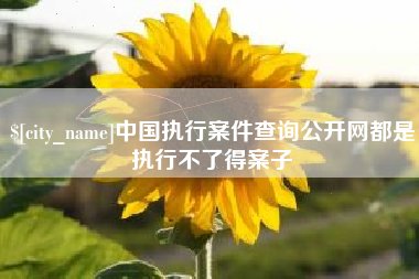 偃师中国执行案件查询公开网都是执行不了得案子