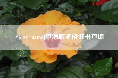 偃师查消防资格证书查询
