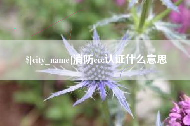 偃师消防ccc认证什么意思