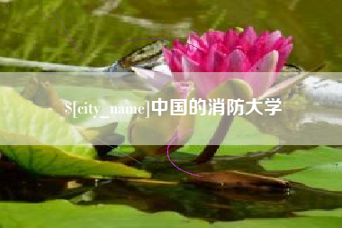 偃师中国的消防大学