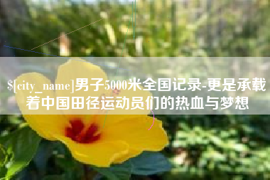 偃师男子5000米全国记录-更是承载着中国田径运动员们的热血与梦想