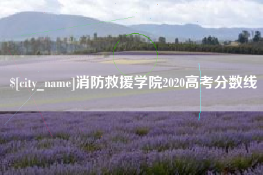 偃师消防救援学院2020高考分数线