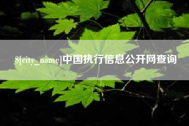 偃师中国执行信息公开网查询