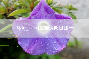 偃师全国消防日哪一
