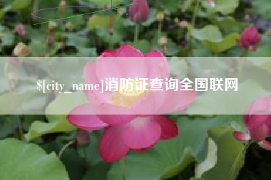 偃师消防证查询全国联网
