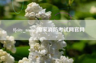 偃师国家消防考试网官网